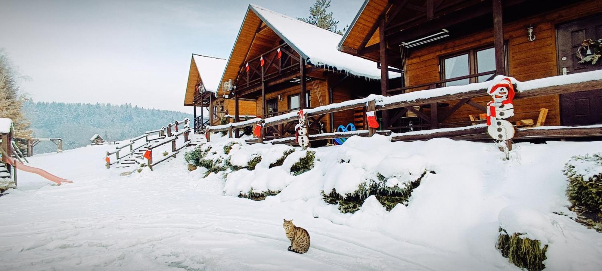 Lodge Bojkowka Wypoczynkowe *