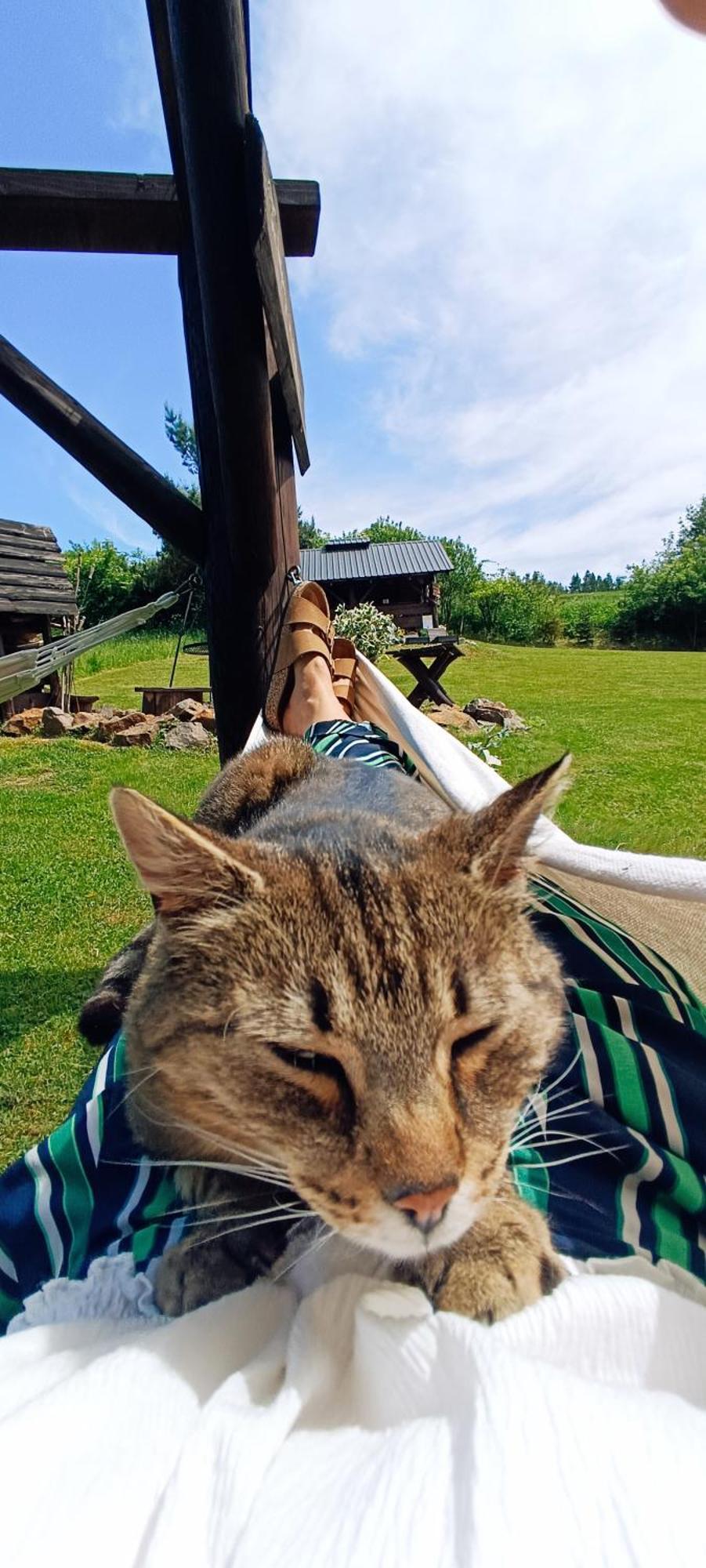 Bojkowka Wypoczynkowe Lodger *
