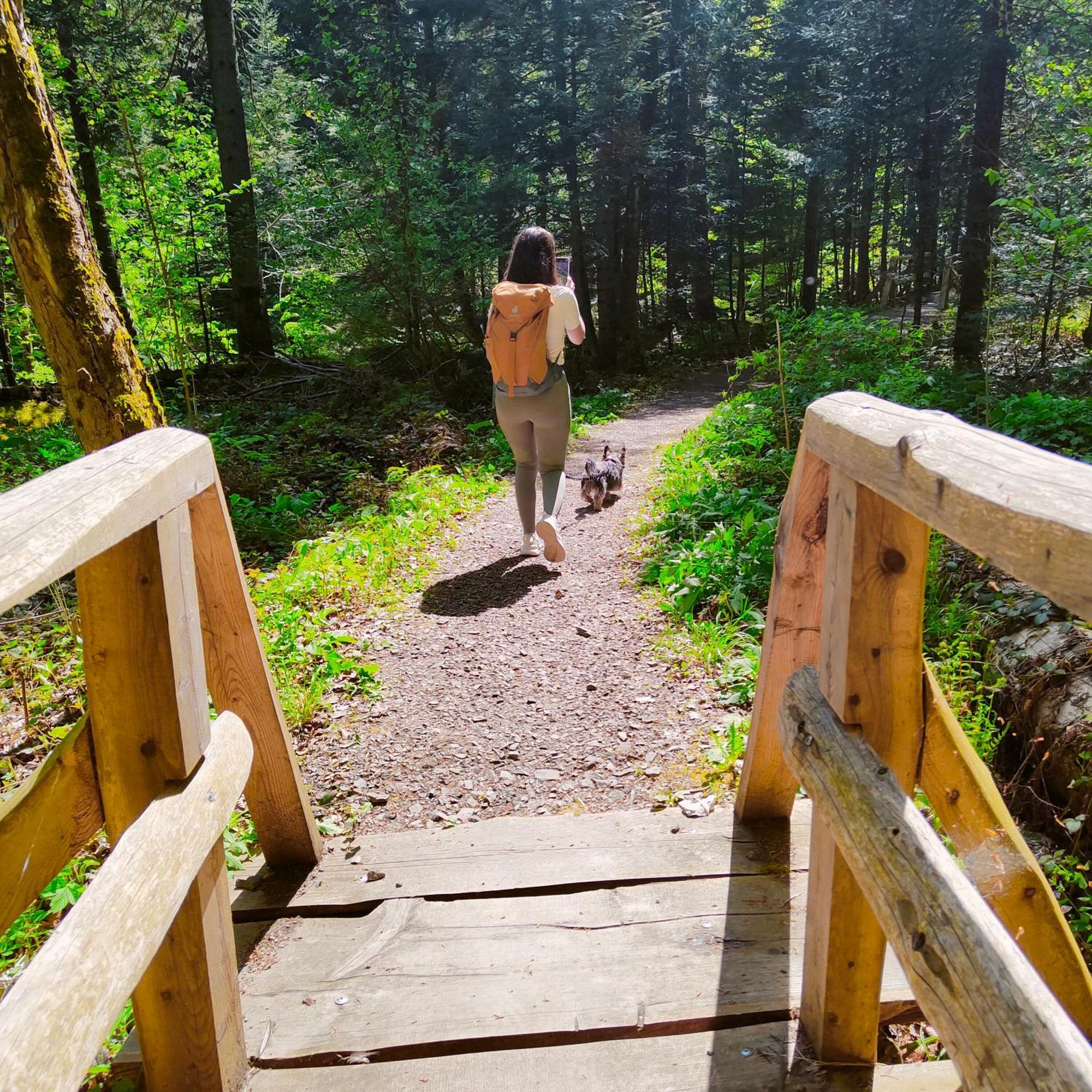 Lodge Bojkowka Wypoczynkowe Baligrod